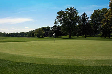 Course Image