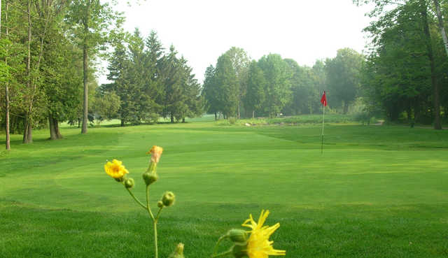 Course Image