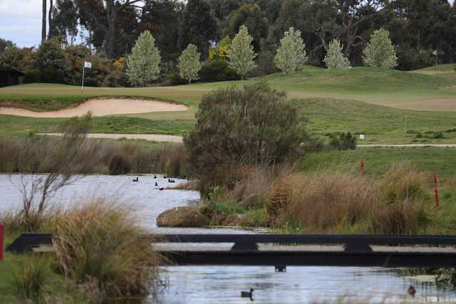 Ballarat Golf Club creek