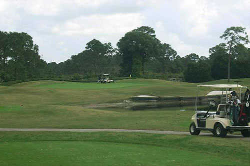 Course Image