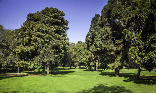 Course Image