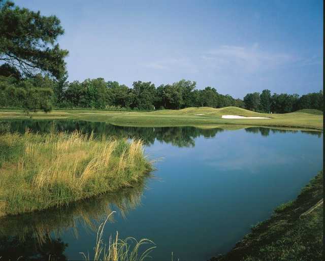Course Image