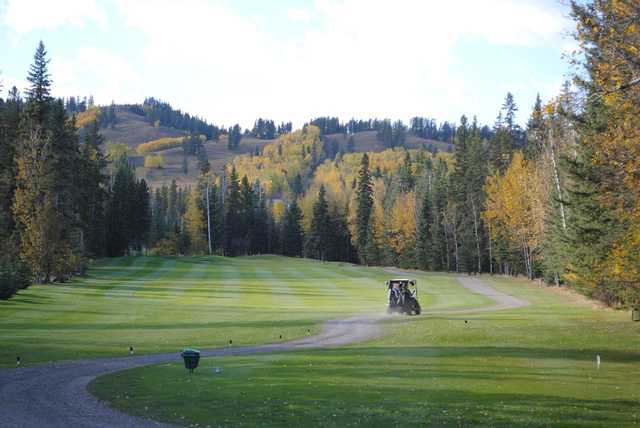 Course Image