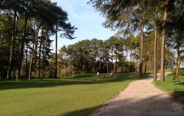 Douglas Park Golf Club 3rd green