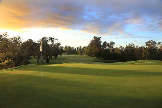 Looking back from the 3rd green at Brisbane Golf Club