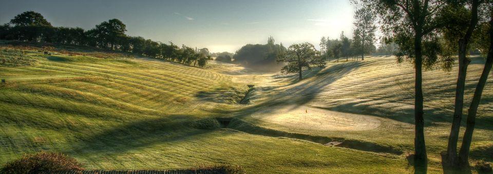 The Plassey Golf Club