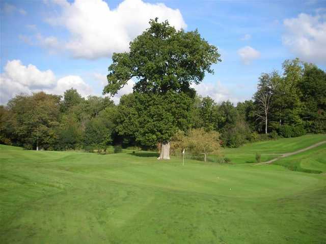 Course Image