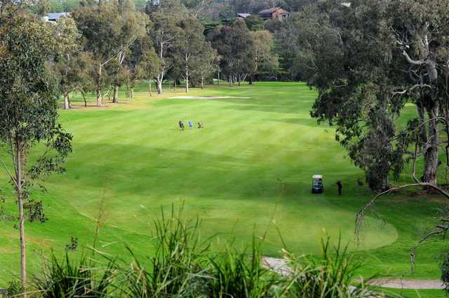 A view of a fairway at Yarra Bend Golf Course.