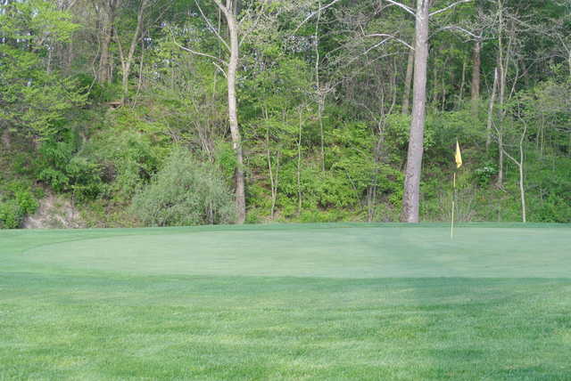 A view of a green at Deer Track Golf Club.