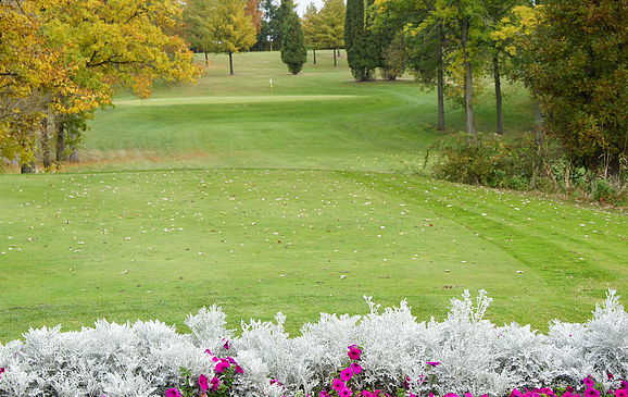 Course Image