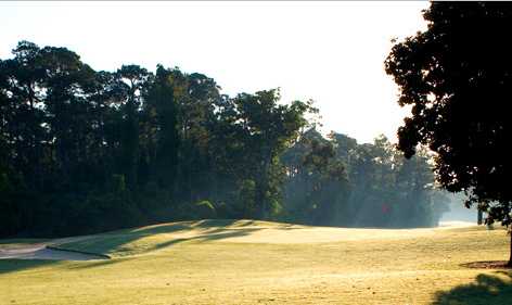 A sunny day view from a fairway at Peninsula Golf & Racquet Club