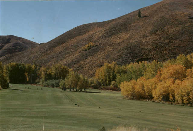 Course Image