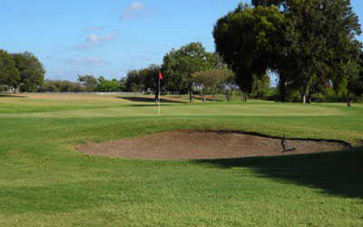 Course Image