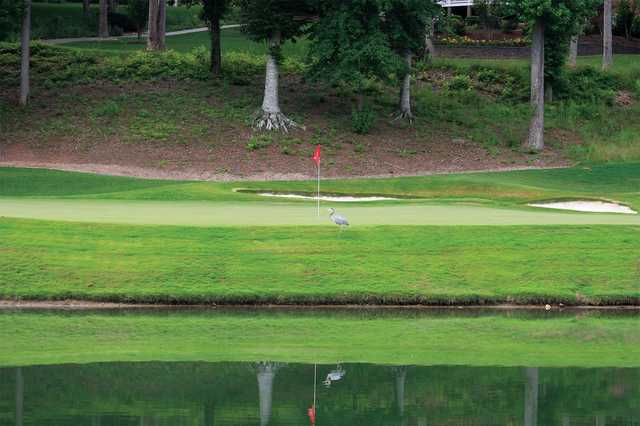 Rock Barn Golf and Spa - Jones Course