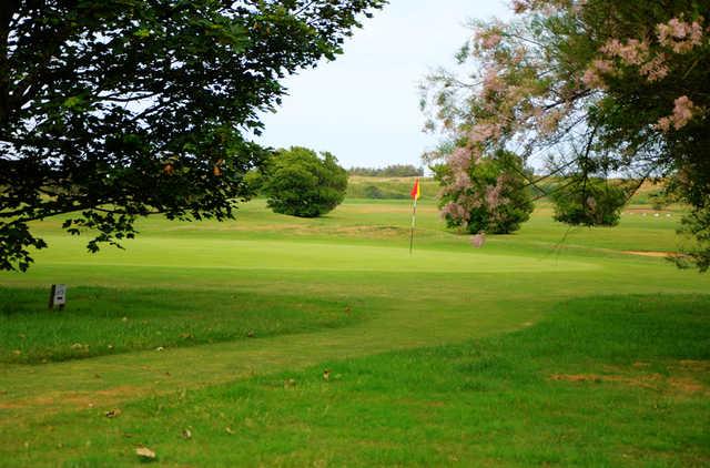 Course Image