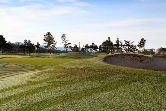 Course Image