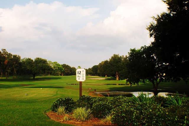 Course Image