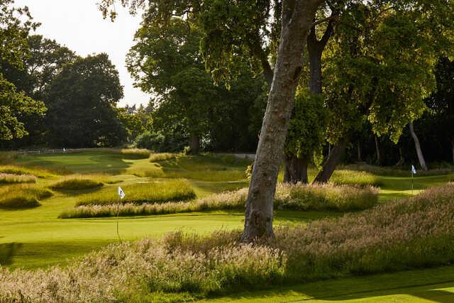 A view from The Copse at Goodwood Golf Club.