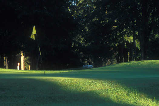 Course Image