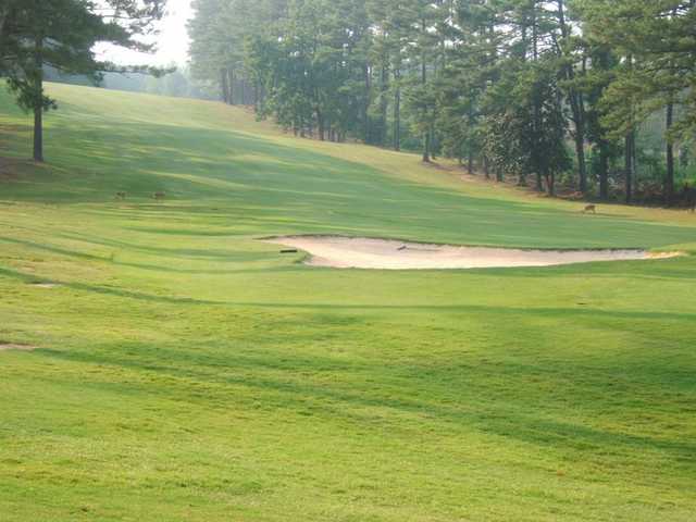The Club at Shoal Creek