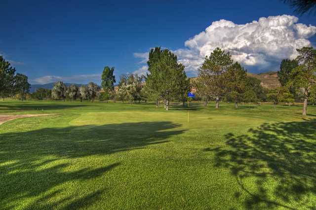A sunny day view of a hole at Rose Park Golf Course.