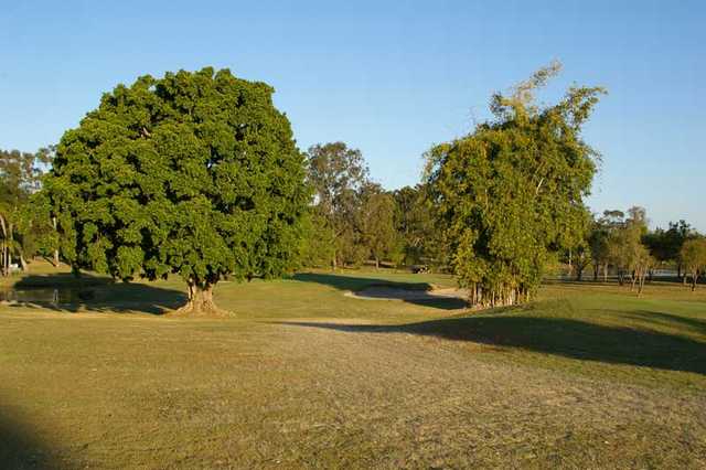 A sunny view of hole #7 at Maryborough Golf Club