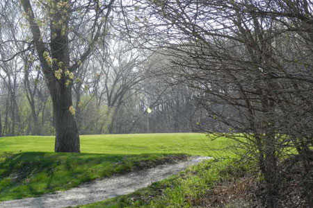 Course Image