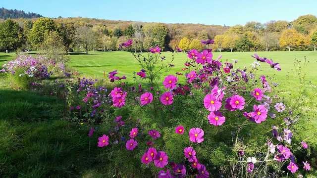 A sunny day view from Rougemont le Chateau Golf Club