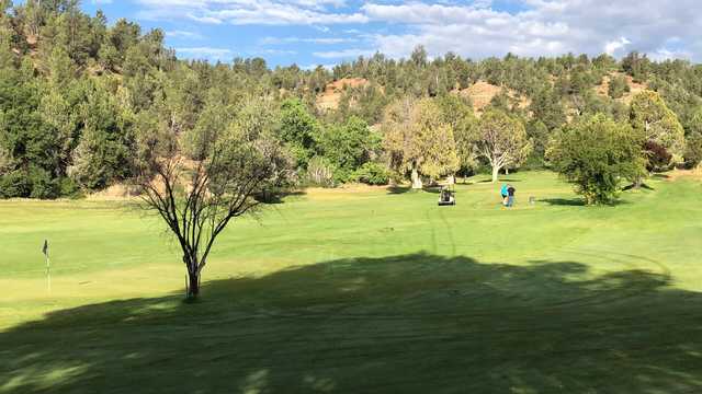 A view of a green at Thunderbird Golf Course.