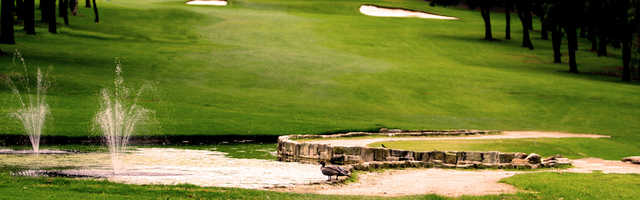 Course Image