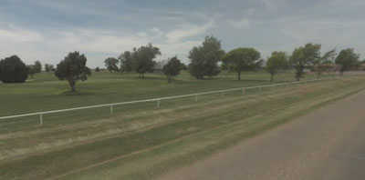Willow Tree Golf Course