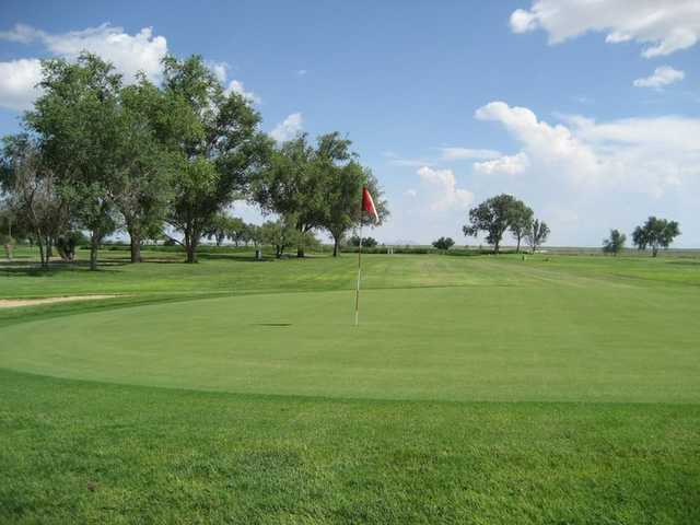Course Image