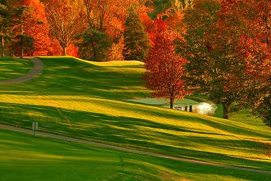 Arlington Association