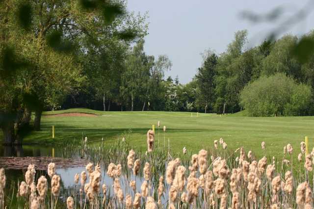 Course Image