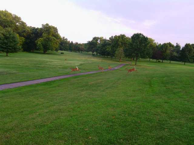 A view of a tee at New Albany Springs Golf Course
