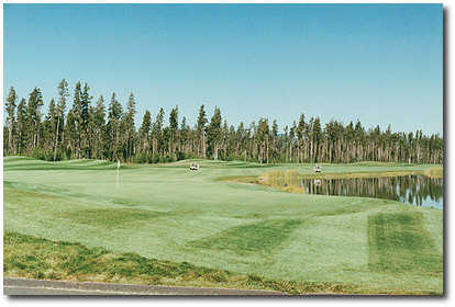 Course Image
