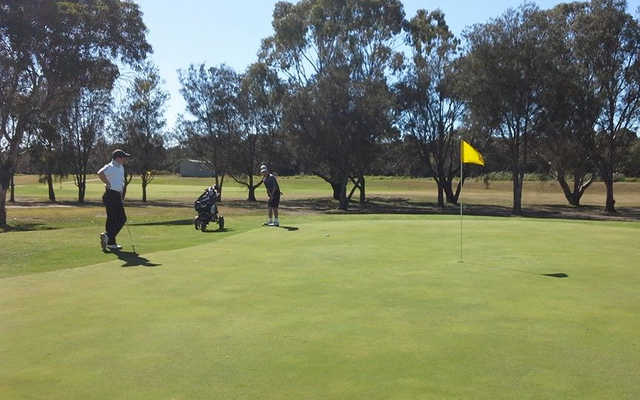 A sunny day view of a hole at Barwon Valley Golf Club