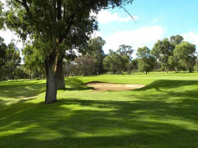 Course Image