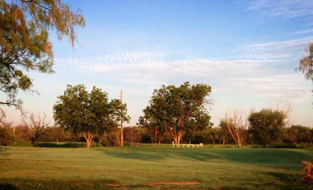 Course Image