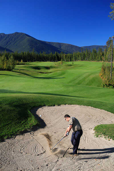 Course Image