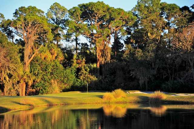The Preserve at Turnbull Bay