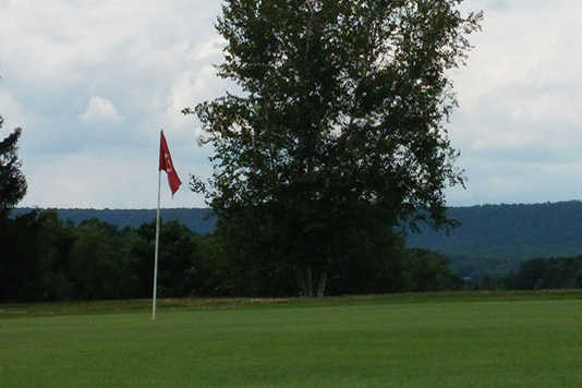 Course Image