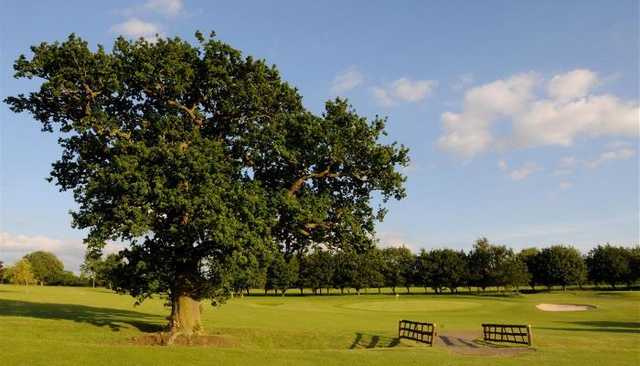 Open green at Ullesthorpe Court Hotel & Golf Club