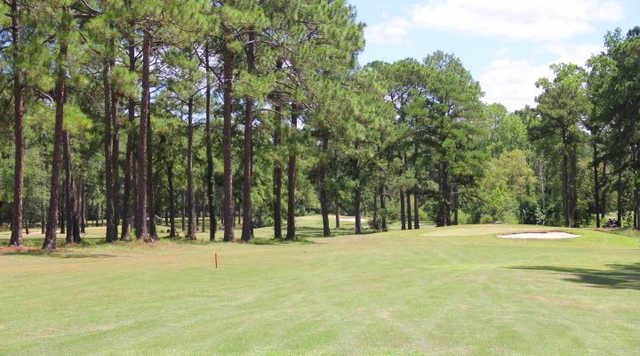 Twisted Pine Golf Course
