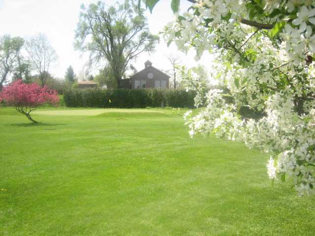 View of a green at Moss Creek Golf Club