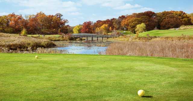 The Ponds At Battle Creek Golf Course