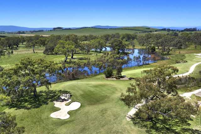 Growling Frog: aerial view