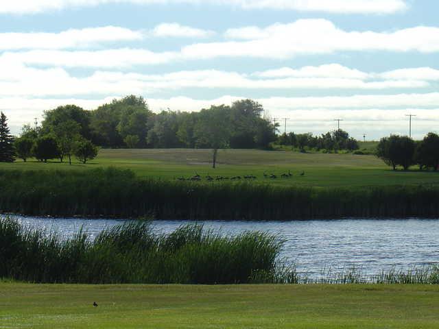 Mohall Country Club