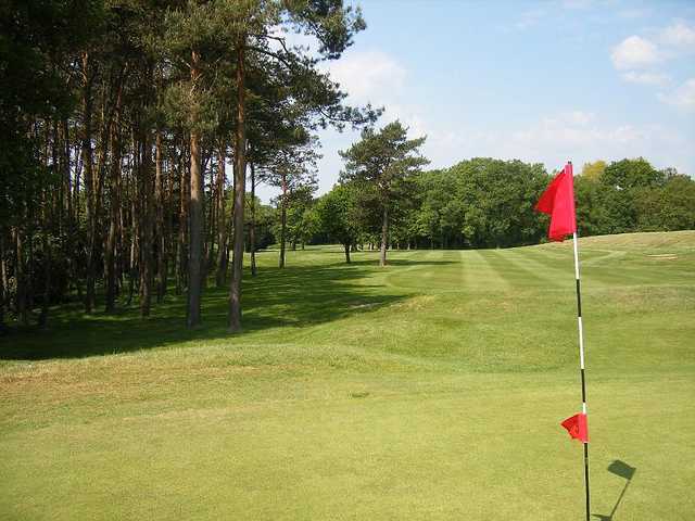 Course Image
