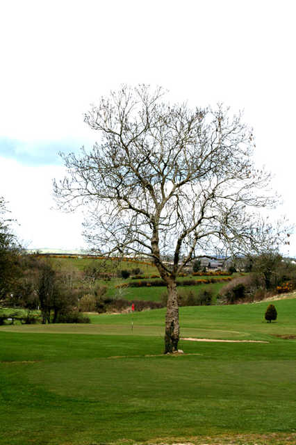 A view of green at Mayobridge Golf Club